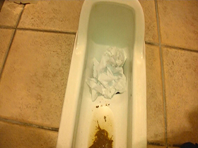 うんこを見せる女たち　サンプル画像07